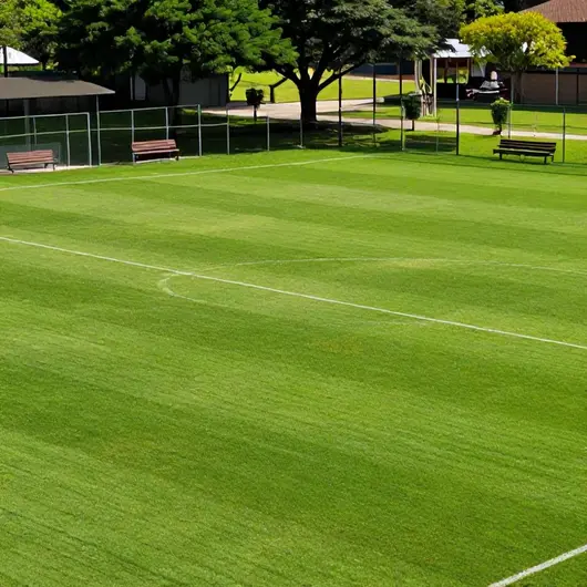 Campo de Futebol Society: O Destino Ideal para os Amantes do Futebol Campo de Futebol Society: O Destino Ideal para os Amantes do Futebol