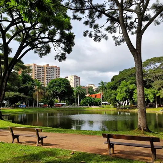 Descubra o Meio Ambiente