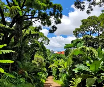 Descubra o Parque Estadual Mata do Krambeck em Juiz de Fora - MG