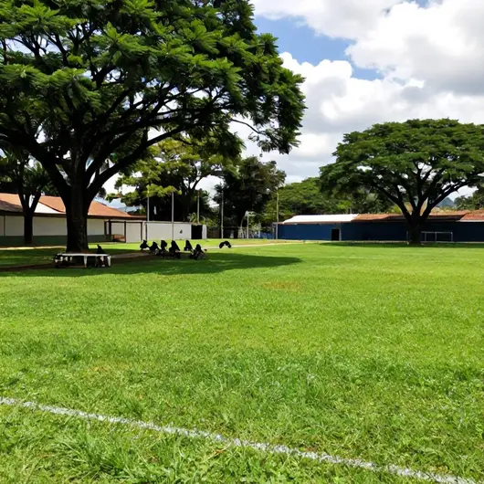 Esporte Clube Jardim Glória Esporte Clube Jardim Glória
