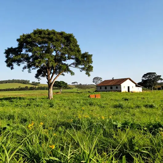Explorando a Fazenda na região de Juiz de Fora -MG