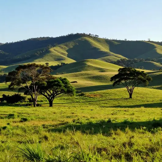 Fazenda em Juiz de Fora -MG: Um Refúgio Natural Fazenda em Juiz de Fora -MG: Um Refúgio Natural