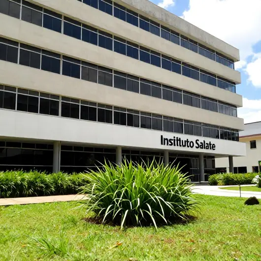 Instituto Salute: Cuidado e Bem-Estar em Juiz de Fora Instituto Salute: Cuidado e Bem-Estar em Juiz de Fora